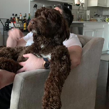 Sadowski Steve Sadowski Github - Premium Mountain Wallpaper - Full HD