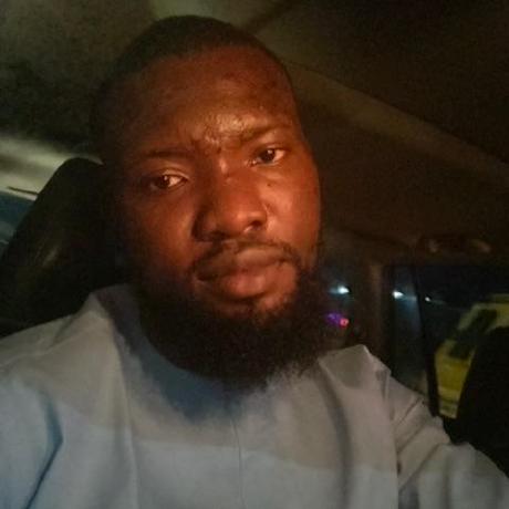 Seundev Seun Oyedele Github - Best Landscape Textures in High Resolution