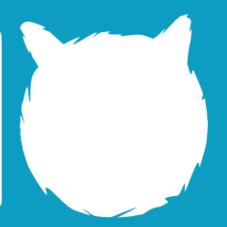 Asio Github Topics Github - Colorful Photo Collection - Retina Quality