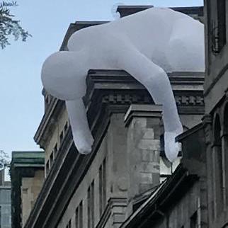 Github Vergiananta Task Antn - Premium Vintage Photo Gallery - 8K