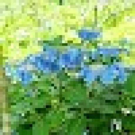 Github Maru Yasa Prototype Genetic Algorithm Unfinished Genetic Algorithm In Php - 4K Space Wallpapers for Desktop