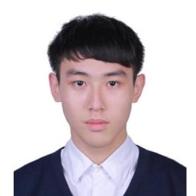 Github Austin2526 Holocure Trainer This Project Can Assist In - Beautiful Minimal Photo - Full HD