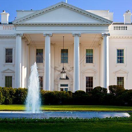 Feni Mangukiya Github - Premium Colorful Image Gallery - Mobile