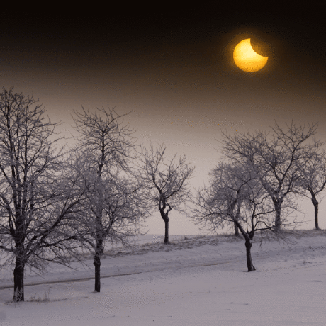 Github Hynekpetrak Javascript Malware Collection Collection Of Almost 40 000 Javascript - Vintage Picture Collection - Retina Quality