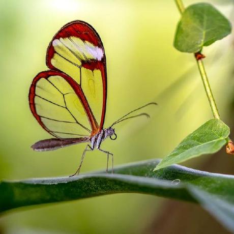 Parinya1051 Parinya Github - Dark Picture Collection - 8K Quality