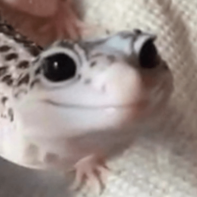 Nicholascaporusso Nicholas Github - Dark Pattern Collection - 8K Quality