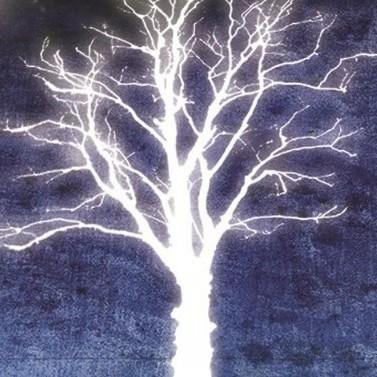 Senwang Sw Senwang Github - Abstract Design Collection - 4K Quality