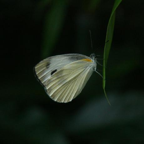 Liyuxuan3003 Github - 4K Gradient Photos for Desktop