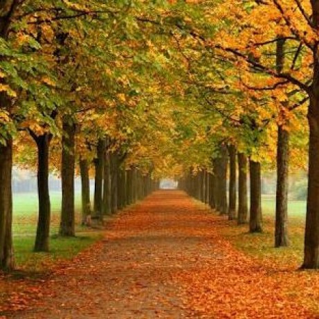 Github Adithyaamara Telegram Cloud Free Unlimited Secure Private - Premium Ocean Illustration Gallery - Retina