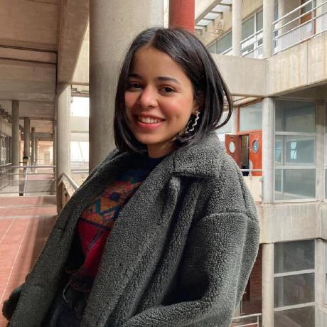 Arij It Github - Sunset Art Collection - Ultra HD Quality