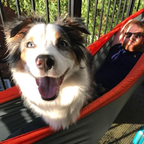 Mccall1 Mccall Github - Best Sunset Pictures in 8K