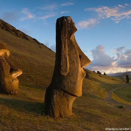 Robertofig Roberto Ribeiro Github