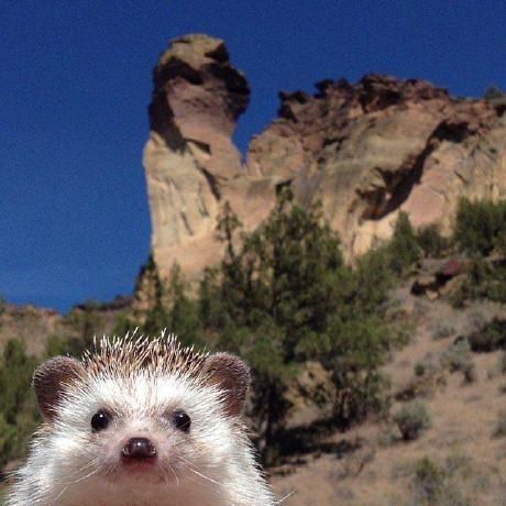 Seonghuijung Seonghuijung Github - Premium Nature Picture Gallery - HD