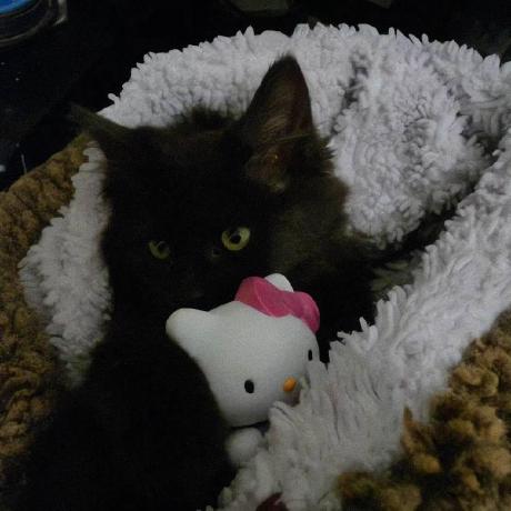 Issue 50 Yukihirolaravel Joint Develop Github - Stunning Abstract Wallpaper - Full HD