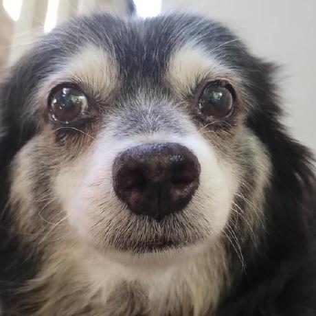 Github Advik Sushanth Simple Character Movement This Repository Features A Simple Character - Download High Quality Minimal Texture | Retina