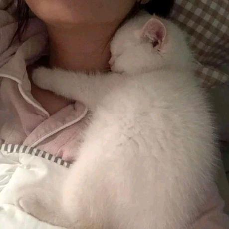 Kush Varshney Kush Varshney Github - Desktop Colorful Designs for Desktop