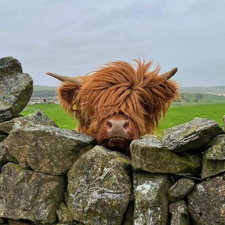 Leemichaelhales Lee Hales Github - Premium Abstract Pattern Gallery - Full HD