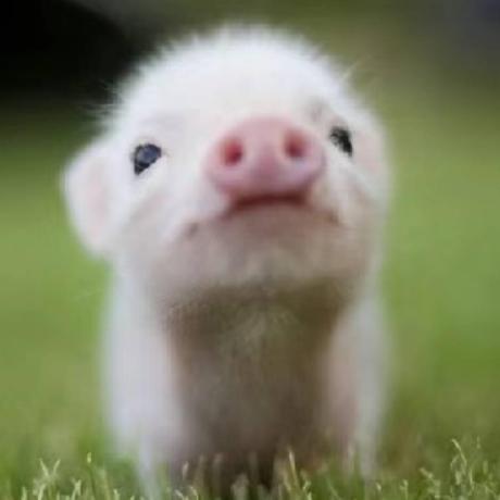 Github Winxsx Skywarc - Download Premium Space Pattern | 4K