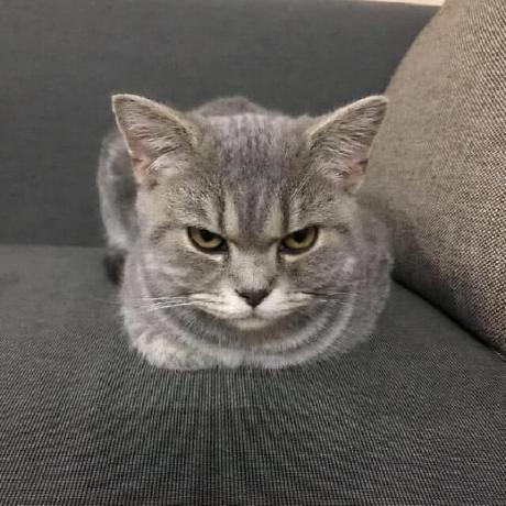 Trinhtin Tin Trinh Github - HD City Backgrounds for Desktop