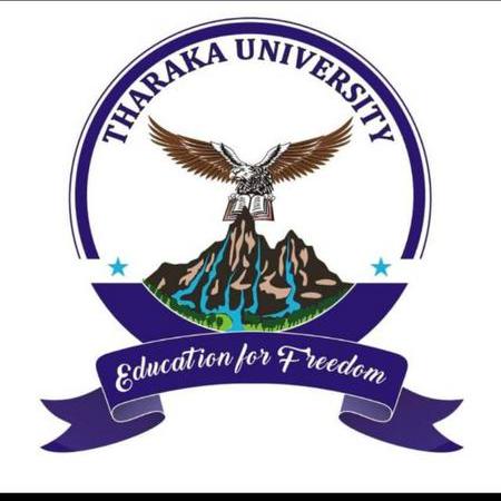 Tharu60 Tharaka Lakmal Github - 4K Light Patterns for Desktop