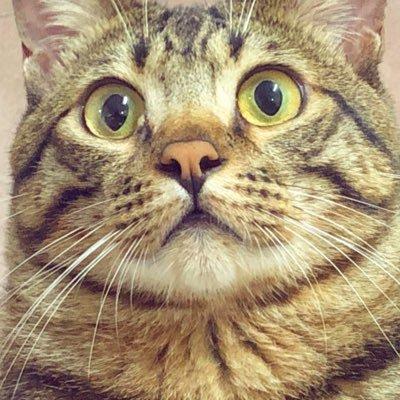 Ashley0821 Ashley Chen Github