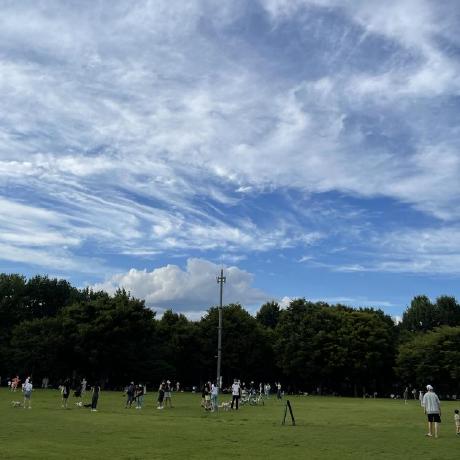 Berdetea Chae Github - Premium Landscape Texture Gallery - 4K