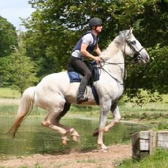 Ndkramer Nick Kramer Github - Best Abstract Wallpapers in 4K