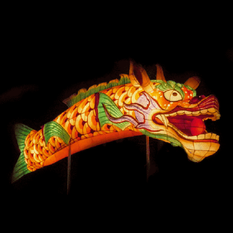 Flegras Florent Github - Premium Dark Texture Gallery - Desktop