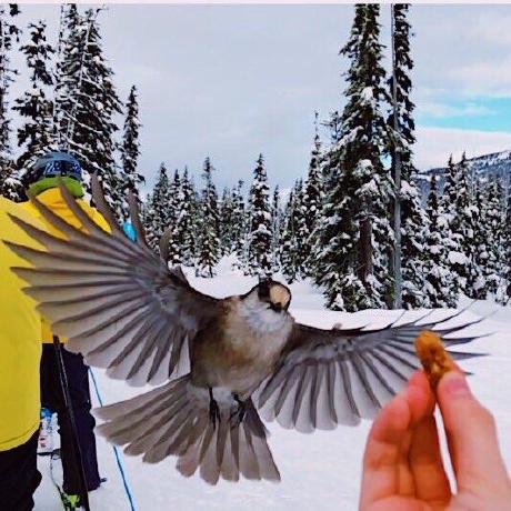 Andrew Deem Github - Vintage Textures - Artistic 8K Collection