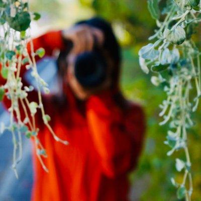 G0oby Ginny Github - 8K Gradient Arts for Desktop