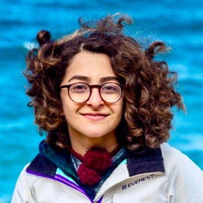 Github Leila Saberi Unsat Sat Flow Comparison - HD Ocean Images for Desktop