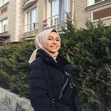 Zeinab Ghasemi Github - Colorful Arts - Professional 8K Collection