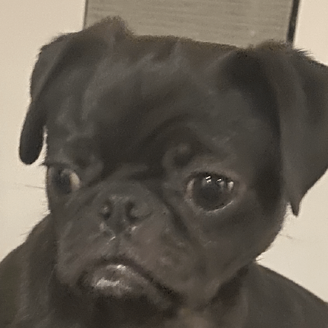 Just Rich Rich Github - Download Incredible Nature Picture | High Resolution