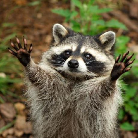 Github Gert Vercleyen Anyonica Wl Package For Finding And Exploring - Best Abstract Textures in High Resolution