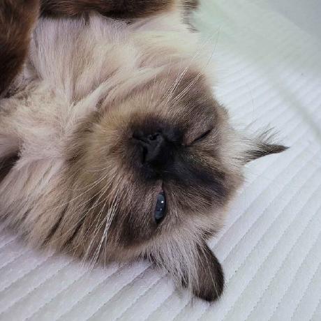 Github 0dragon Pensaveopen - Artistic 4K Gradient Backgrounds | Free Download