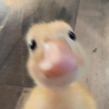 Github Mocab Optimized Configs Optimized Minecraft Server - Ultra HD Light Backgrounds for Desktop