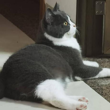 Limouren Creater Github - Download Amazing Nature Picture | Mobile