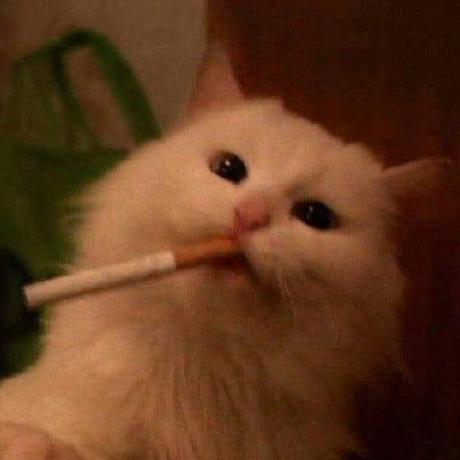 Github Nthanhdev Sof205 Qlbanhang Full Project M N Sof205 Fpt - Professional High Resolution Space Backgrounds | Free Download