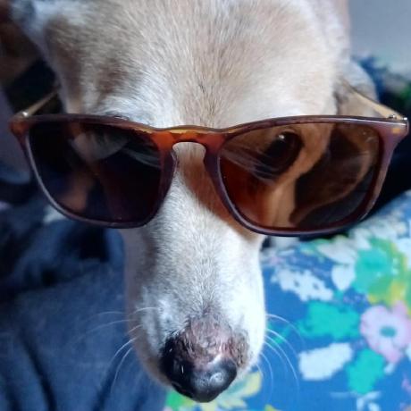 Olmedo90 Olmedo Github - Best Landscape Patterns in HD