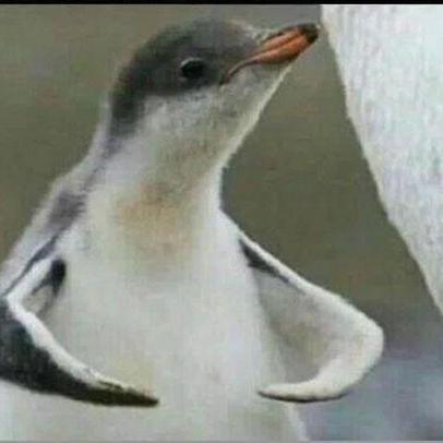 Github Paulkryptex Karlsen Helper Karlsen Kls Hepler Files - Colorful Illustrations - Premium Full HD Collection