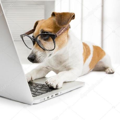 Brnlucas Breno Lucas Github - Mobile Gradient Textures for Desktop