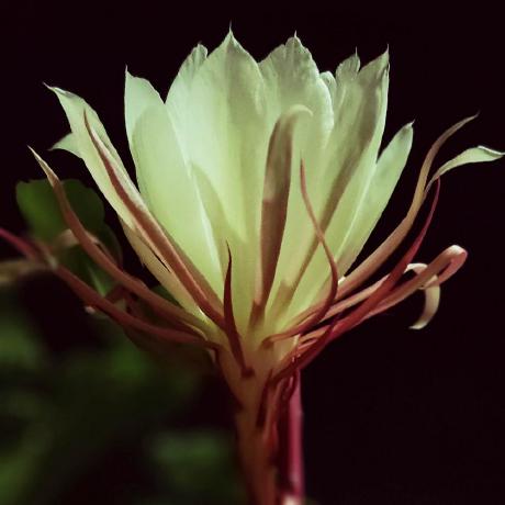 Bidhan Shrest Github - Download Creative Space Pattern | Desktop