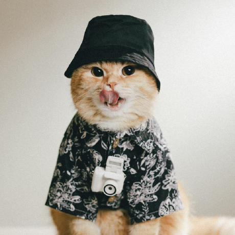 Adam G Pullen Adam Pullen Github - Geometric Pattern Collection - Full HD Quality