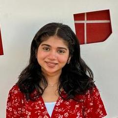 Saifuddinsaifee Saifuddin Saifee Github - Best Landscape Designs in Desktop