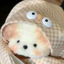 Amy 77 Yanlin Qi Github - Incredible HD Landscape Photos | Free Download