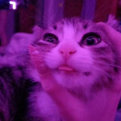 Ya Cing Github - Best Landscape Textures in Ultra HD