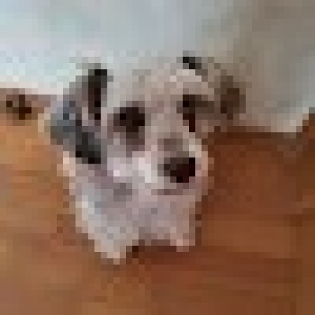 Hibiki Summer Github - Premium Minimal Art - HD