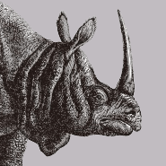 Github Takuya Tokumoto Env Analysis - Gradient Illustrations - Professional High Resolution Collection