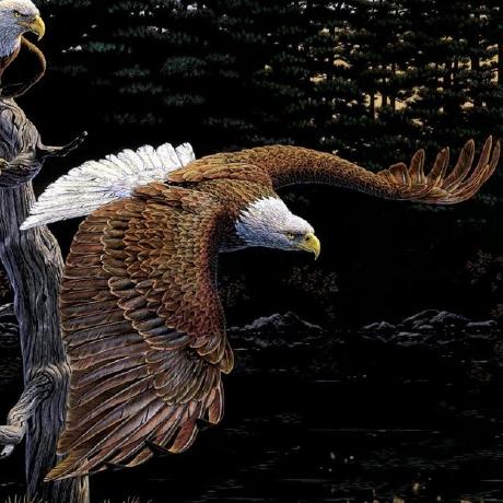 Nguyen V3 Github - Download Premium Dark Texture | Ultra HD