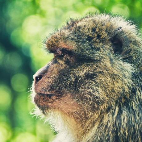 Rpcx Client Plugin Go At Master Smallnest Rpcx Github - Geometric Backgrounds - Creative HD Collection